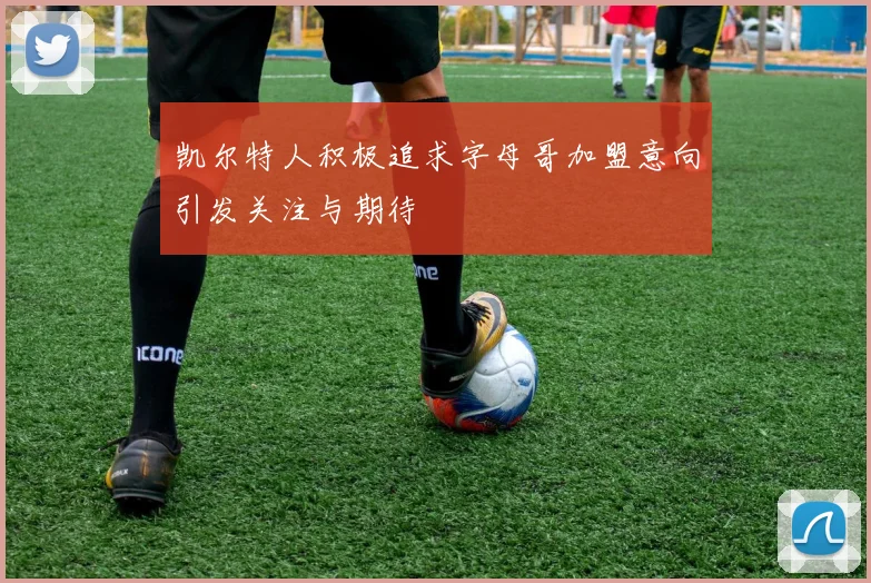 凯尔特人积极追求字母哥加盟意向引发关注与期待