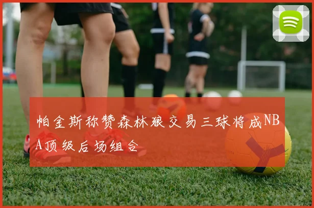 帕金斯称赞森林狼交易三球将成NBA顶级后场组合